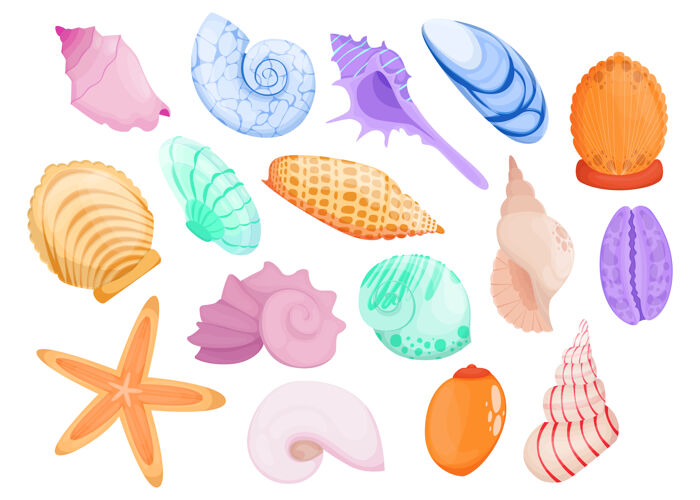 卡通多色手绘海贝扁平件套装贝壳热带海洋