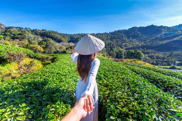 亚洲穿着越南传统文化服装的亚洲女人牵着男人的手 领着他走向绿茶田麦风景早晨