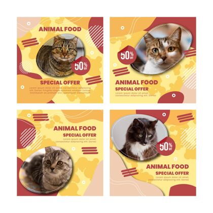动物食品动物食品instagram帖子出售食品折扣