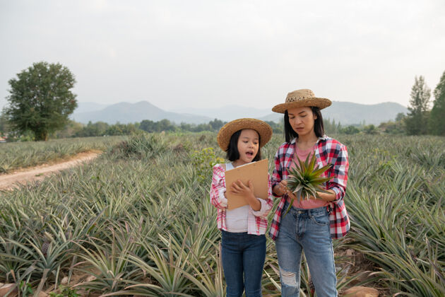 测试亚洲农民让母亲和女儿在农场里看到菠萝的生长情况 并把数据保存在她的剪贴板上给农民核对清单孩子小父母