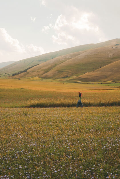 草原人走在绿色和棕色的领域田野女人乡村