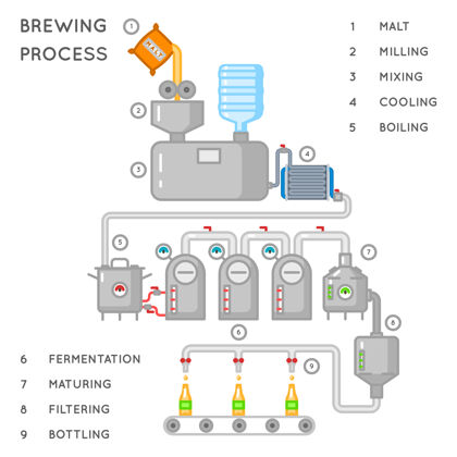 麦芽啤酒工艺酿造信息图或啤酒厂工艺酒精啤酒厂生产 传送带生产啤酒插图业务工厂工艺