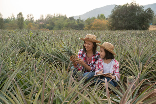 生长亚洲农民有母女在农场看到菠萝的生长情况 并把数据保存在她的剪贴板上给农民核对清单 农业产业概念帽子绿色中国