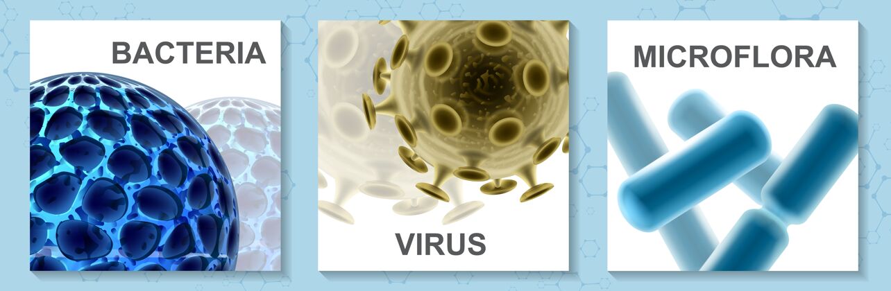 病毒逼真的微生物学彩色卡片集病毒细菌和细菌分离插图医学医疗保健风险
