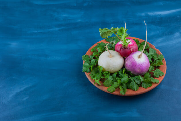 成熟的一盘健康的白萝卜和红萝卜 放在蓝色的桌子上食物绿的自然