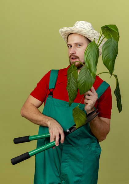 年轻令人印象深刻的年轻英俊的斯拉夫园丁在制服和帽子举行植物和修剪隔离橄榄绿墙上橄榄植物印象
