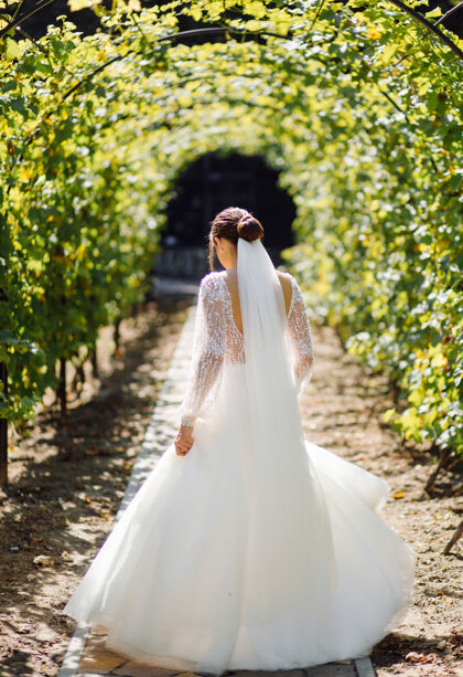 背景美丽的白衣新娘摆姿势浪漫森林订婚