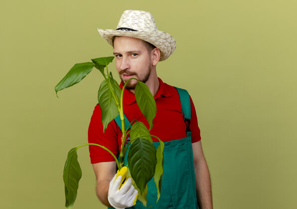 穿自信的年轻英俊的斯拉夫园丁穿着制服 戴着帽子 戴着园丁手套 拿着隔离在橄榄绿墙上的植物 留着复制空间花园橄榄拿着