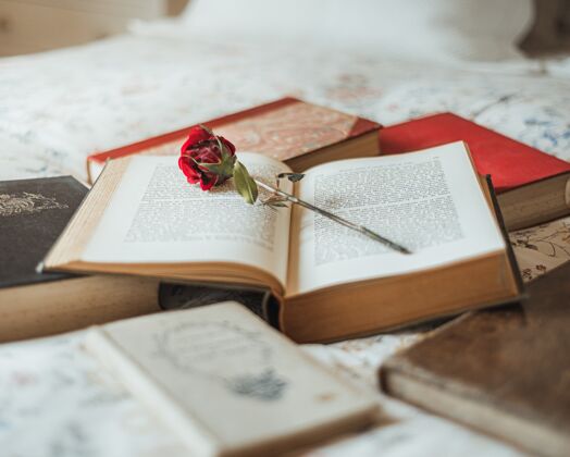 度假红玫瑰在一本打开的书里面温暖书堆春天