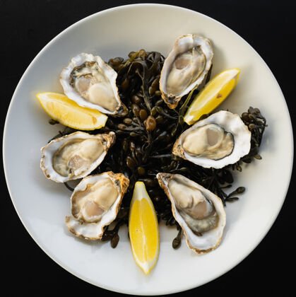 海鲜泽兰省的牡蛎俯视图 柠檬片放在白色盘子里晚餐吃美味