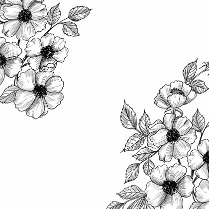 花瓣美丽的婚礼花卉素描背景植物植物素描