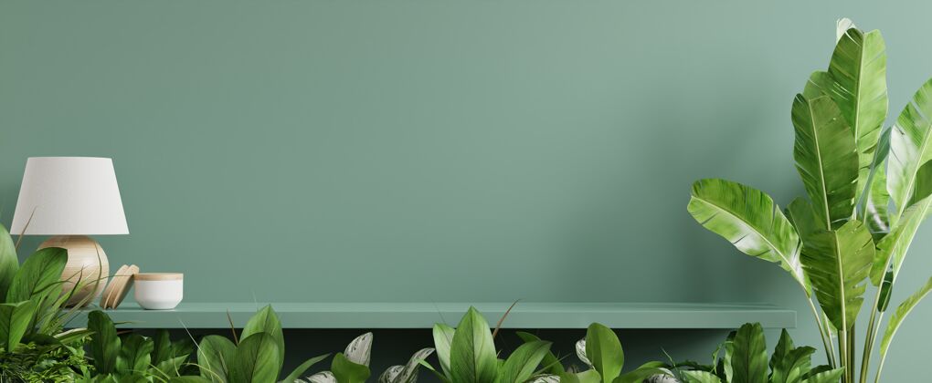 家居装饰内墙模型与绿色植物 绿色墙和货架三维渲染夏天花卉多汁