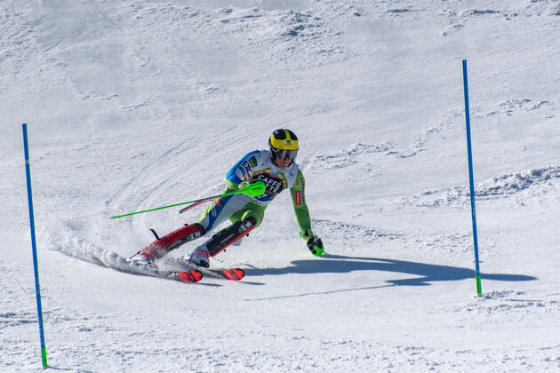 赛车高山滑雪世界杯国际泳联冠军棍棒奖杯