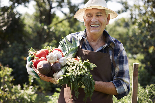 候选人一个拿着一箱蔬菜在地里干活的老人夏天农场帽子