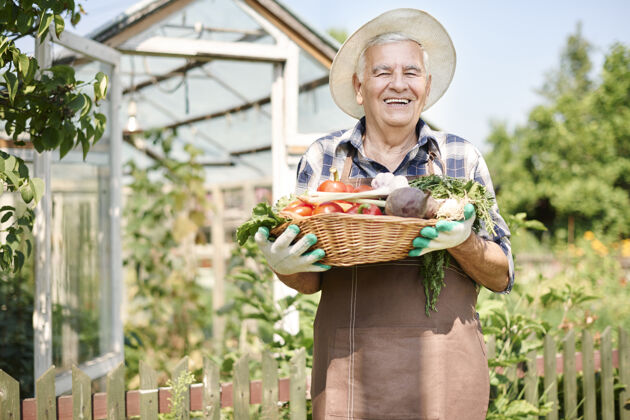 温室一个拿着一箱蔬菜在地里干活的老人健康饮食候选人看相机