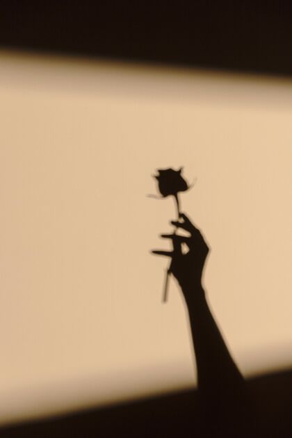 光手持鲜花的女人的剪影朋友玫瑰最小