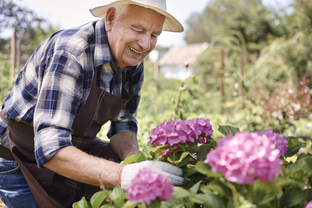 园艺拿着花在地里干活的老人围裙微笑休闲
