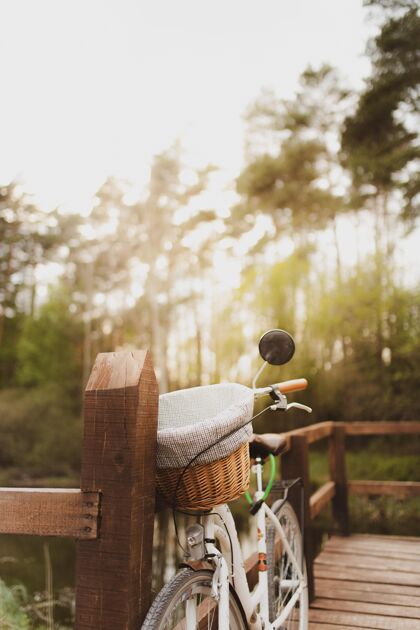 自行车森林里一辆自行车停在木桥上的垂直镜头自然垂直旧的