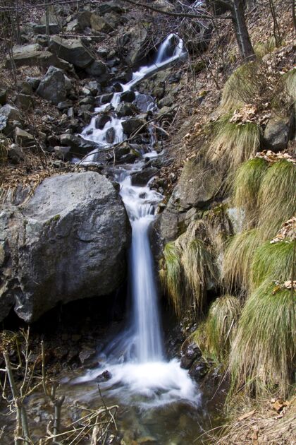 水流森林里美丽瀑布的垂直镜头大自然森林新鲜