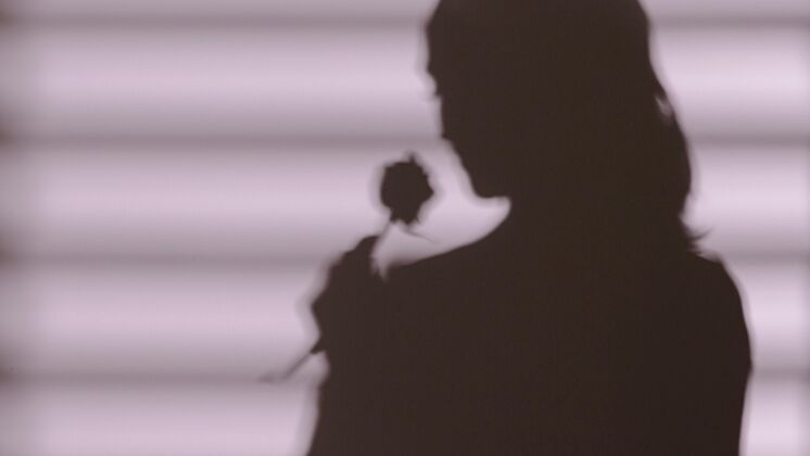 女人手持玫瑰的女人的影子影子房子早晨