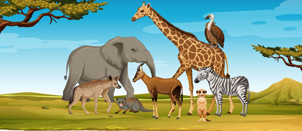 食肉动物森林里的一群非洲野生动物植物树动物园