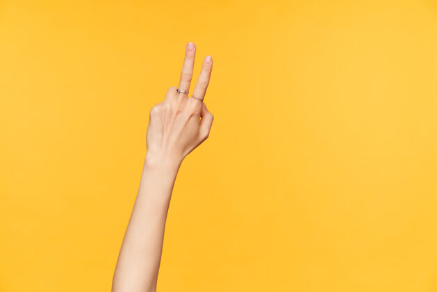 成人年轻漂亮的女士的手保持两个手指抬起 同时计数 在黄色背景上摆姿势手的手势和标志的概念胜利语言特写