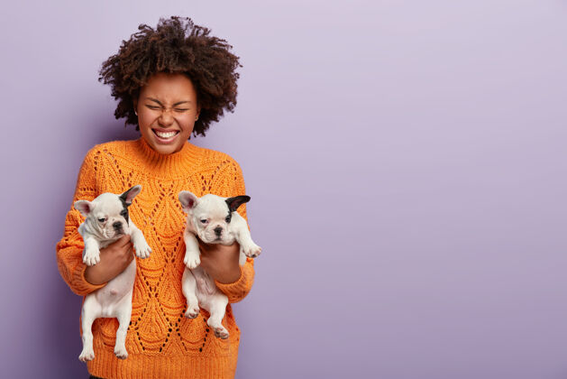 跳伞快乐的美国黑人妇女抱着两个月大的小狗 右手给人 穿着温暖的橙色毛衣卷发女孩和她心爱的纯种狗动物交流的概念友谊年轻黑发