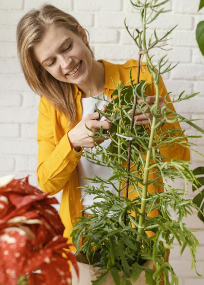 树叶穿黄衬衫的年轻女子在家里种花家庭花园栽培室内植物