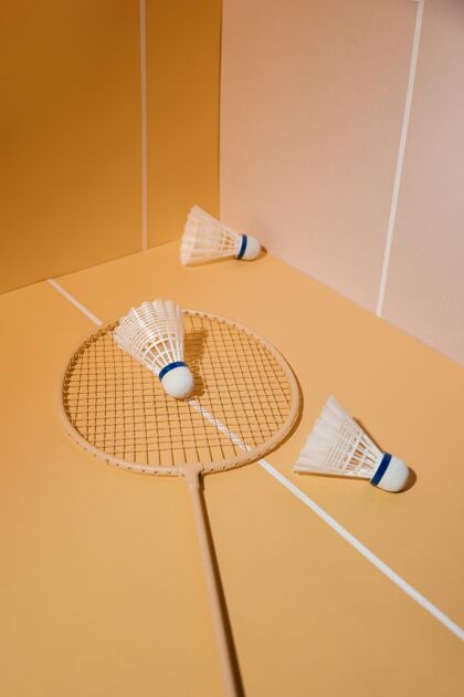 羽毛球羽毛球和羽毛球拍高角度垂直物体设备