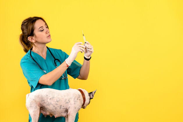 动物女兽医在黄色地板上给小狗注射动物疾病的正面图可爱女兽医小可爱