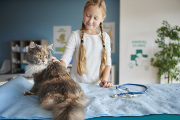 桌子兽医那里的女孩和她的猫微笑疾病家畜