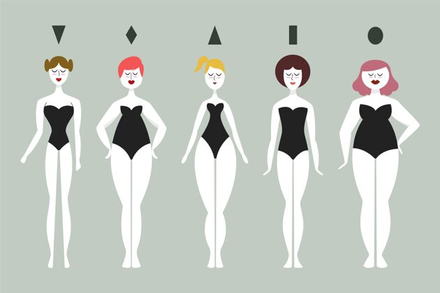 女性卡通类型的女性体型集合形体类型解剖学