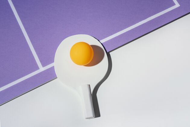 调色板把球平放在乒乓球拍上设备球极简