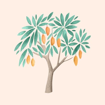树芒果树水彩插画树干自然水果
