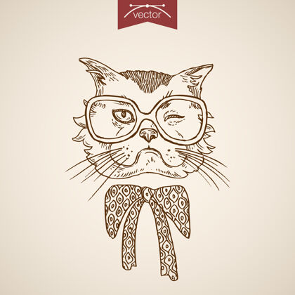 围巾猫眨眼头时髦风格仿人服装配饰戴眼镜设计围巾收集颈部古董
