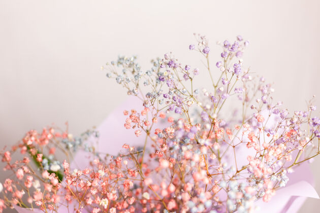 光漂亮的装饰可爱的小干花 彩色壁纸花园白天旧