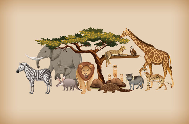 人物背景是一群野生动物团体非洲猫