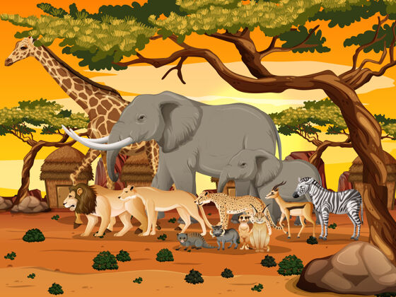 斑马森林里的一群非洲野生动物森林狮子丛林