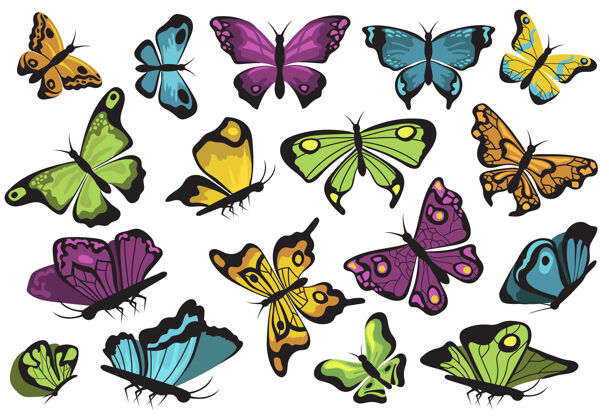 昆虫彩蝶套装动物蝴蝶绘画