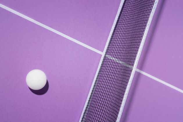 最小顶视图球和乒乓球网乒乓球最小水平