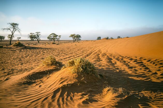 沙漠美丽的照片纳米布沙漠在非洲与一个明确的蓝天天空景点干燥