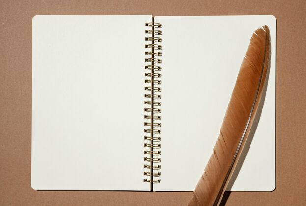 审美带羽毛的笔记本顶视图水平艺术家简单