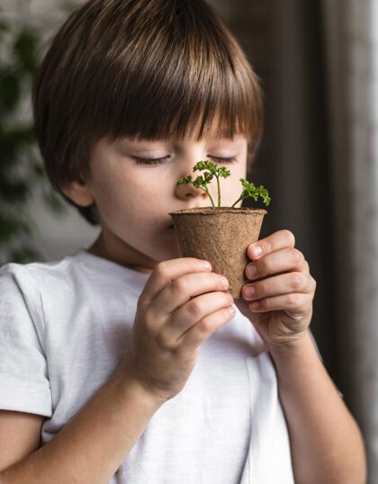 植物小男孩在家闻花盆里的植物蔬菜有机自然