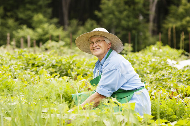 女性资深园艺女士菜园成熟的成年人老年妇女