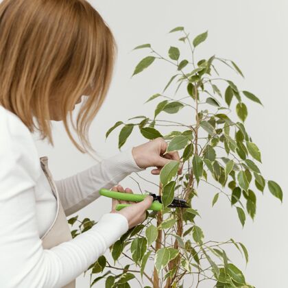 园艺特写女人剪植物房子生长装饰