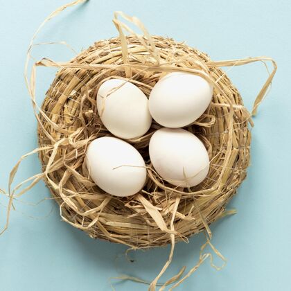 鸡肉复活节彩蛋在干草篮顶视图教装饰季节性
