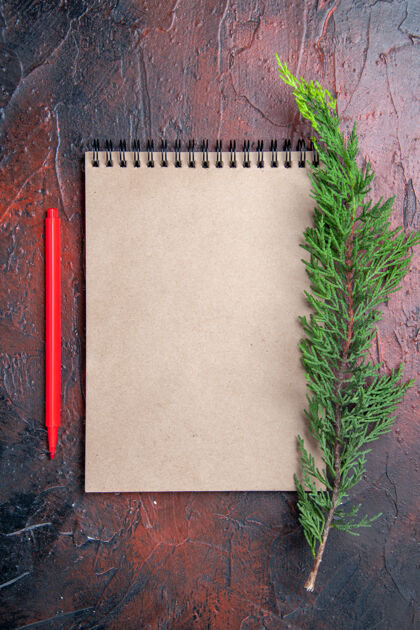 松树顶视图红笔一个笔记本小蝴蝶结一个松枝暗红色的表面与复印空间树枝圣诞节笔记本