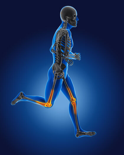男性三维跑步的医生 膝盖突出显示脊柱慢跑皮肤