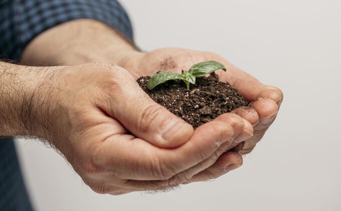 植物侧视图男性手拿土壤和植物生长人雄性园艺