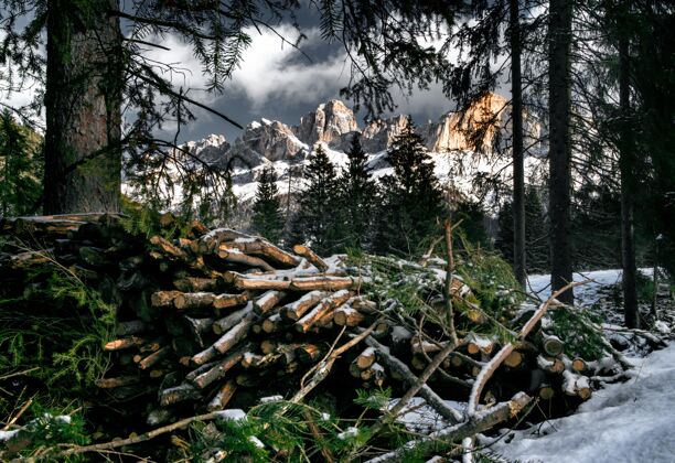 意大利成堆的树木在一片覆盖着白雪的森林中被悬崖包围在白云石中寒冷活跃高山